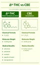 Ã¢Ëâ 8-THC vs CBE, Delta 8 Tetrahydrocannabinol vs Cannabielsoin vertical infographic